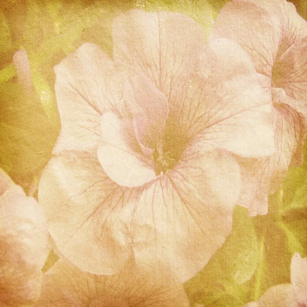 Kağıt doku çiçek öğeleri — Stok fotoğraf