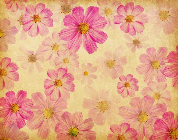 Paper textures with beautiful pink flowers — Stock Photo, Image