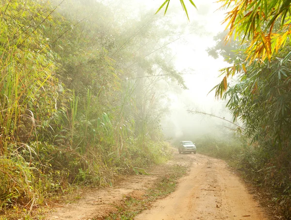 Ground road in jungle near Umphang,Thailand — Stock Photo, Image