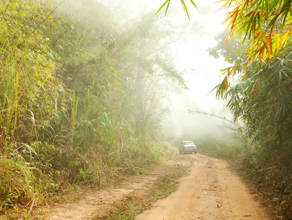 Jalan darat di hutan dekat Umphang, Thailand — Stok Foto