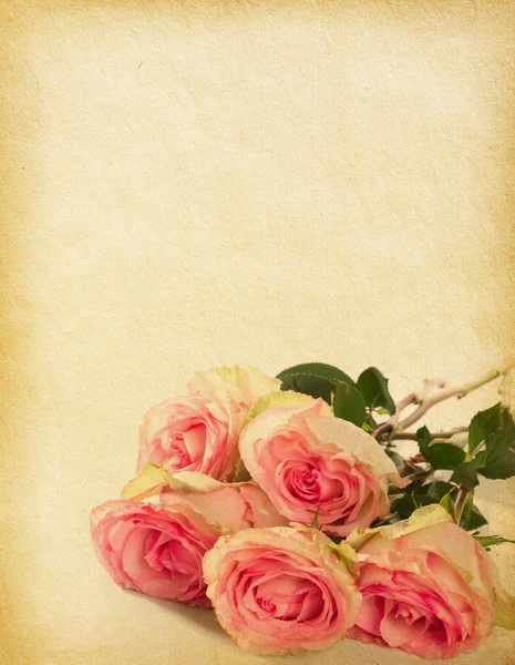 Texturas de papel viejas con rosas rosadas — Foto de Stock