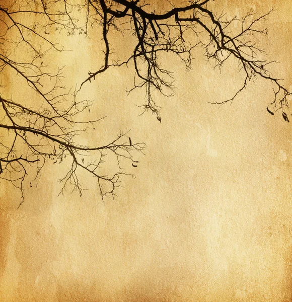 Old paper. tree without leaves — Stock Photo, Image