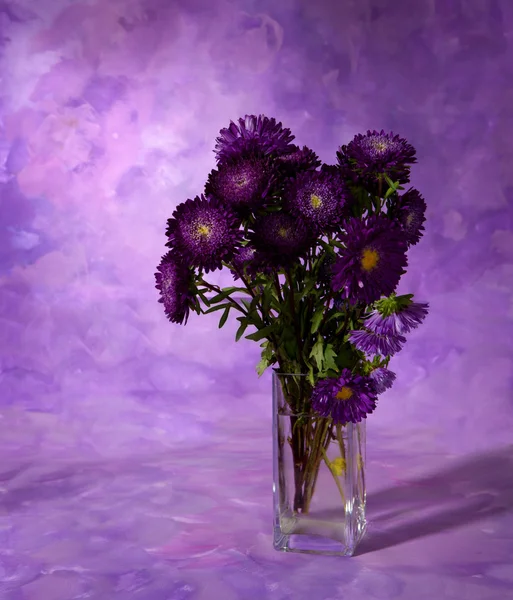 Chrysanthemums bunch — Stock Photo, Image