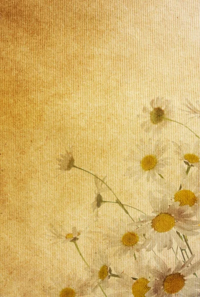 Tło kwiatowe — Zdjęcie stockowe