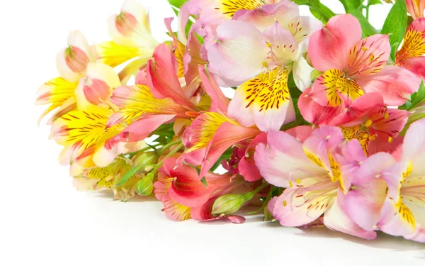 アルストロメリアの花の花束 — ストック写真