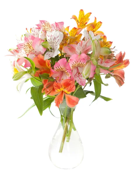 Bouquet di fiori di alstroemeria — Foto Stock