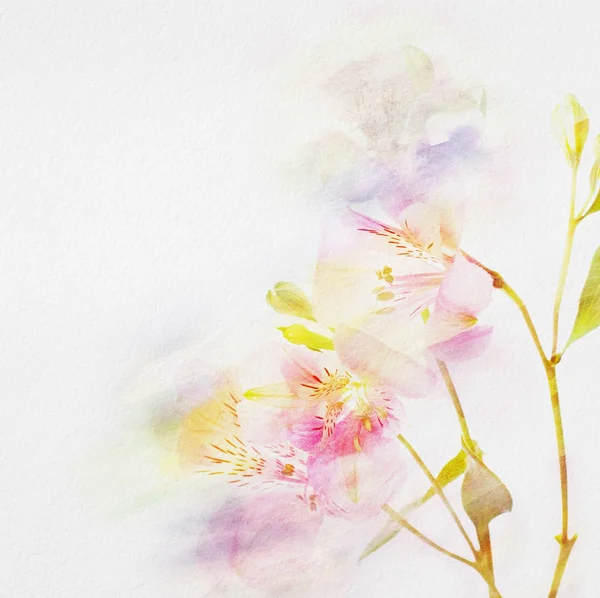 Floraler Hintergrund mit Aquarellblumen — Stockfoto