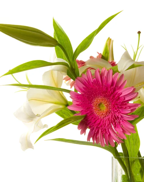 Bando de lírios e gerberas — Fotografia de Stock