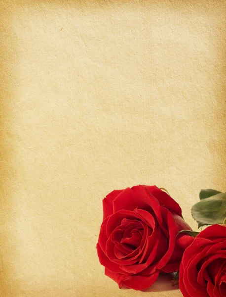 Old paper textures with   red roses — Stock Photo, Image