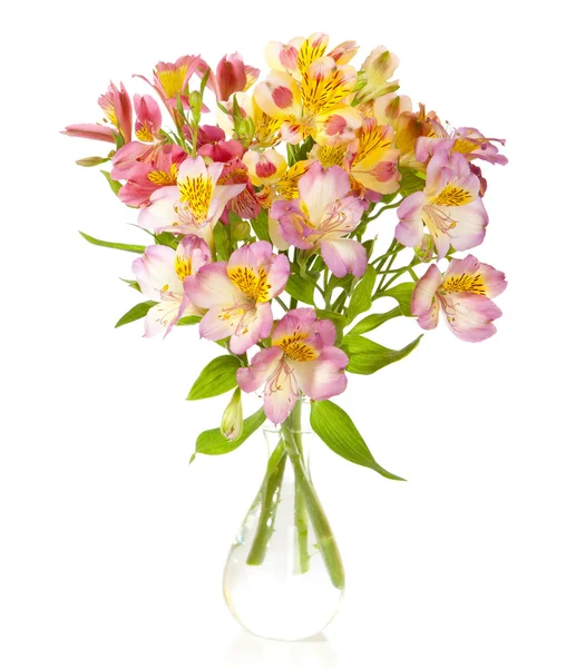 Bouquet of Alstroemeria flowers Royalty Free Stock Photos