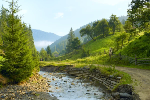 Carpathian Mountains — Stock Photo, Image