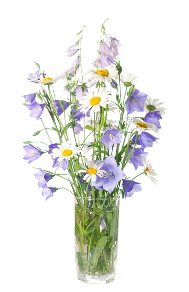 Boeket wilde bloemen — Stockfoto