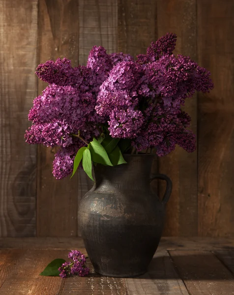 Kytice jarní fialové Lila — Stock fotografie