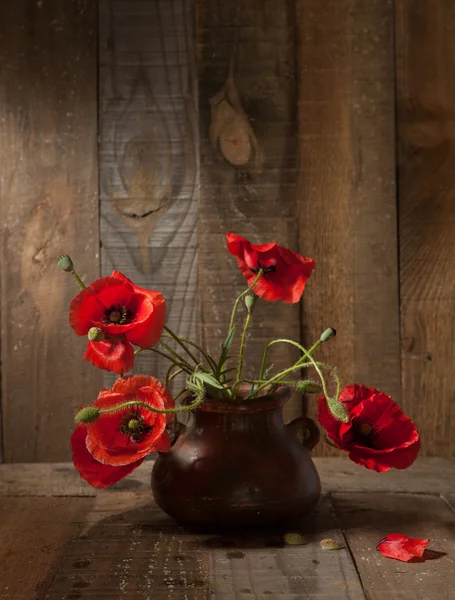 Amapolas en maceta de barro — Foto de Stock