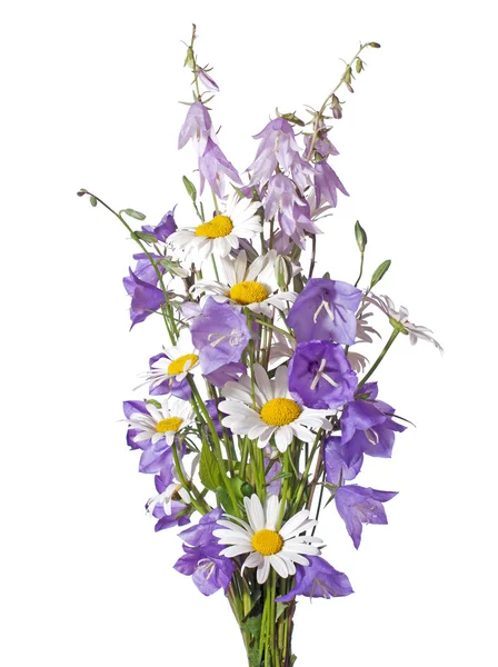 Bouquet di fiori di campo — Foto Stock