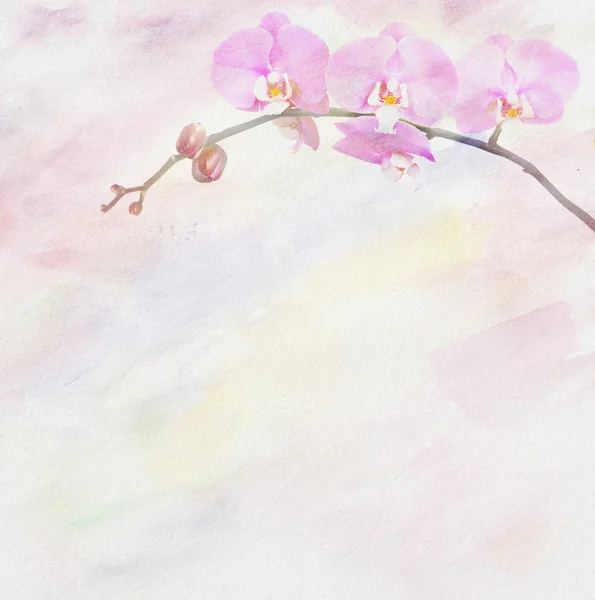 Kunst floral achtergrond met orchidee. — Stockfoto