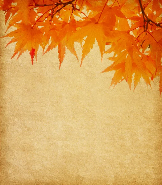 Старая бумага с оранжевыми осенними листьями — стоковое фото