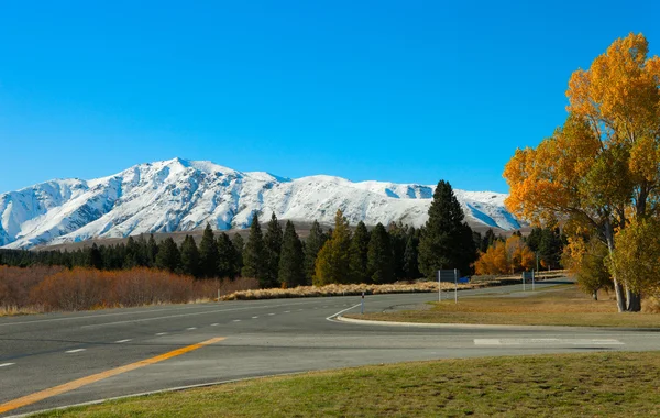 Autumn road. — Stock Photo, Image