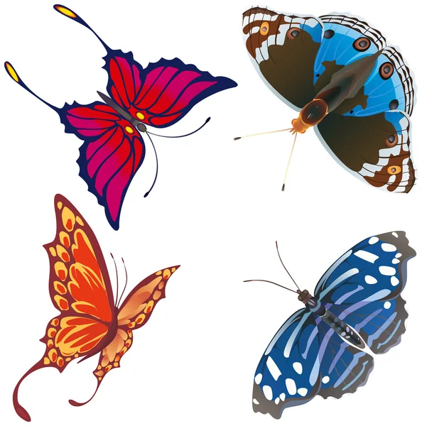 Mariposas exóticas abstracto . — Vector de stock