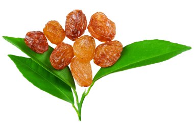 bir yaprakları ile kuru üzüm