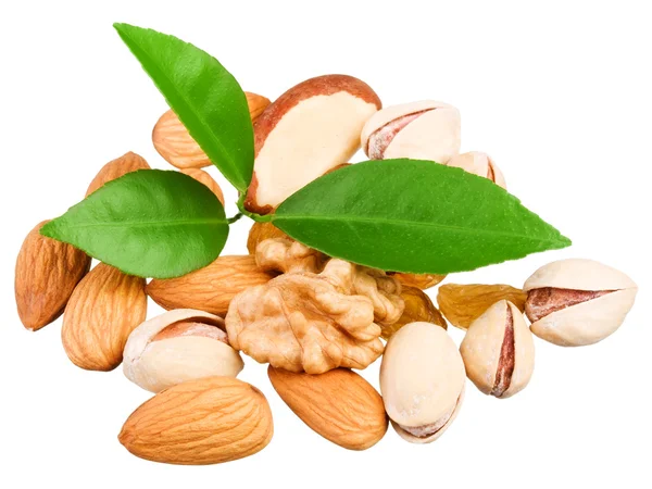 Assortment of tasty nuts with leaves — Stock Photo, Image