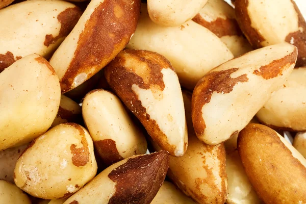 Close up of the Brazil nuts — Stock Photo, Image