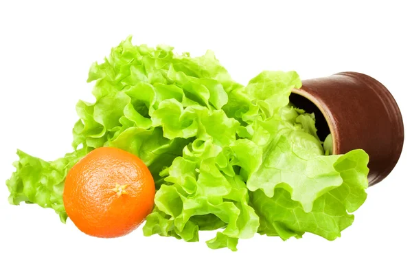 Fresh green lettuce salad with a mandarin — Stock Photo, Image