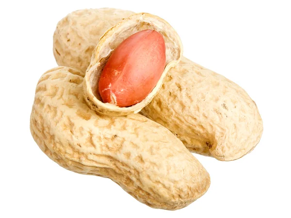 Peanuts with shells — Stock Photo, Image