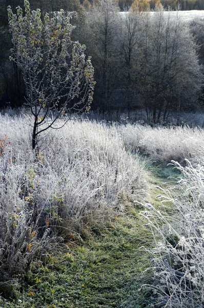 Path in the Countryside in the Late Fall — Stock Photo, Image