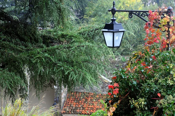 Lampione nel parco — Foto Stock