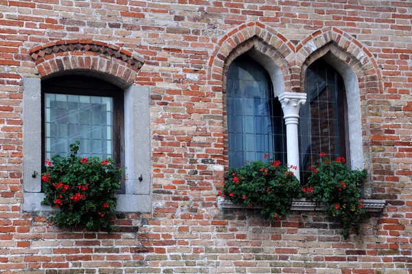 Middeleeuws kasteel windows — Stockfoto