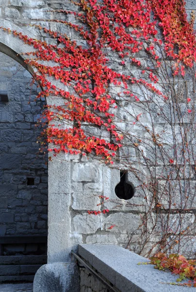 Detalj av helgedomen castelmonte — Stockfoto