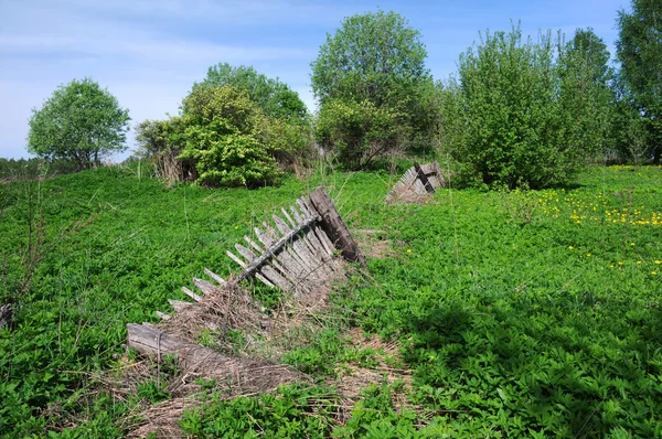 Старый сломанный забор и растительность — стоковое фото