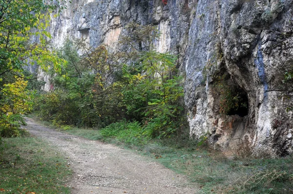 Ορεινού δρόμου σε μια ζοφερή πρωί — 图库照片