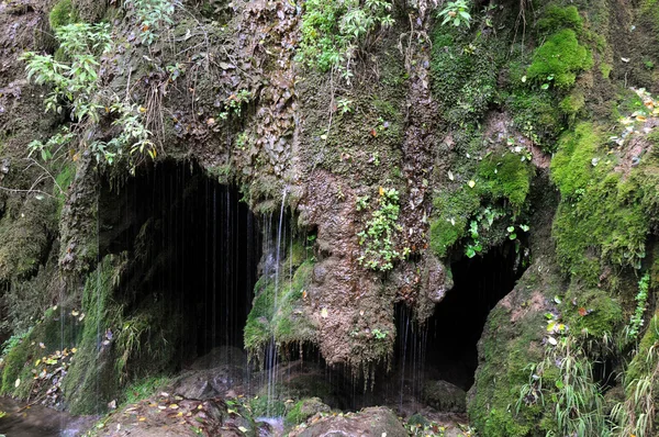 Grotta nella roccia in autunno — Foto Stock