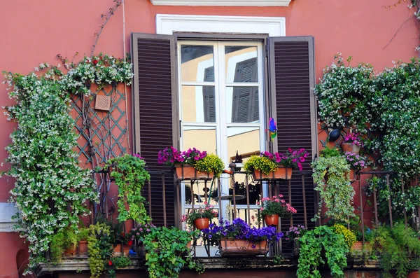 Växter och blommor på balkongen — Stockfoto