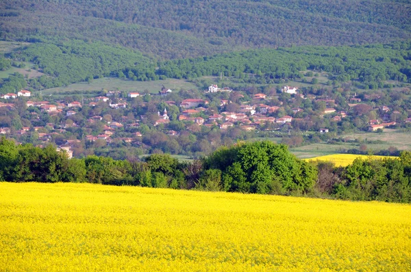 Oilseed 필드와 마을 — 스톡 사진