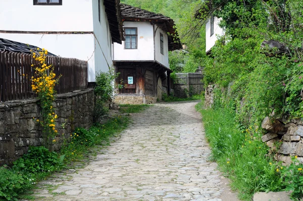 Kopfsteinpflasterstraße im Dorf Boschentsi — Stockfoto