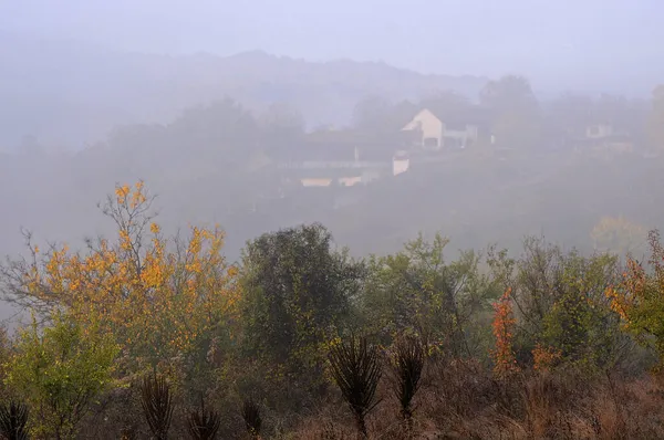 Foggy View Shrubs House Hill Background Autumn — Stock Photo, Image