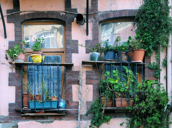 Janelas Hiuse Decoradas Com Flores Plantas — Fotografia de Stock