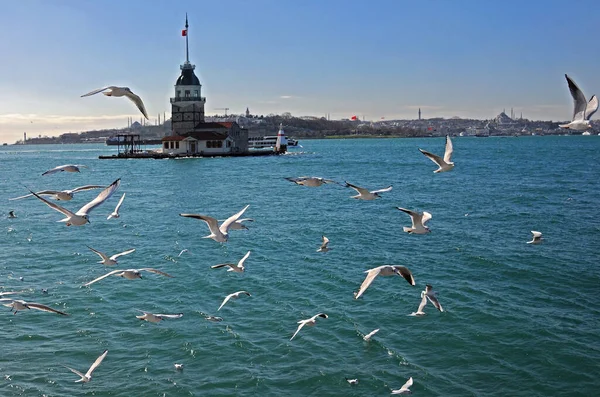 Zicht Maiden Toren Vliegende Meeuwen Istanbul Turkije Een Heldere Dag — Stockfoto