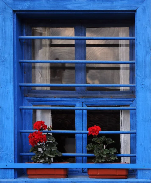 茶色い花の箱と青い木製の窓に赤いペラルゴニウム — ストック写真