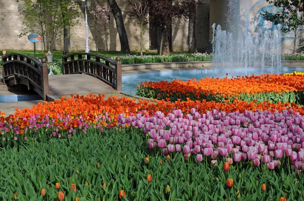 Wooden Bridge Variety Tulips Gulhane Park Istanbul Turkey — Stockfoto