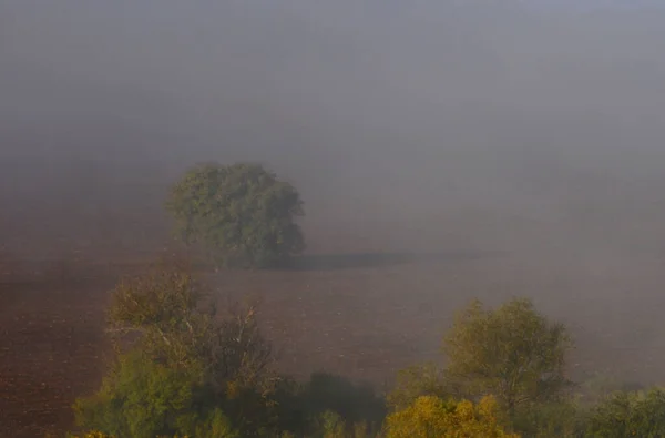 Trees Shrubs Bushes Blurred Rural View Autumn Pre Balkan Region — Stock Photo, Image