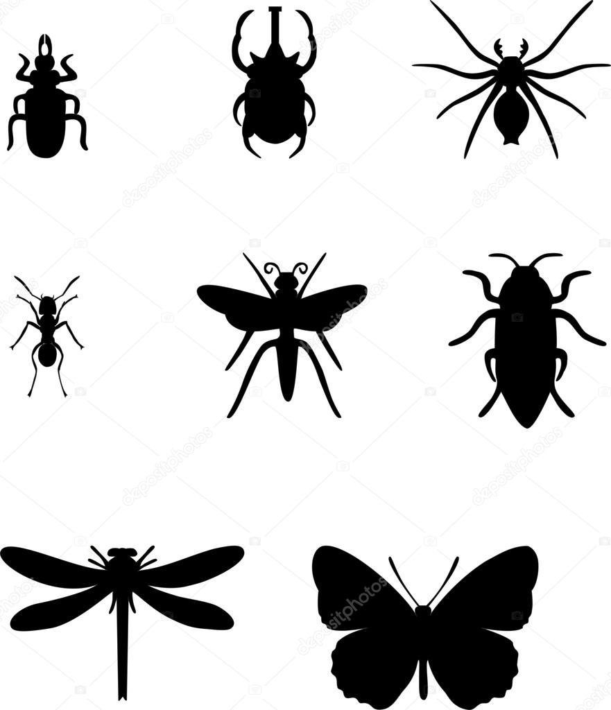 Vector. Insect set in black