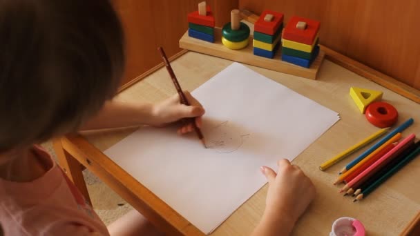 Little girl draws a cat — Stock Video