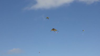 Mavi gökyüzü altında uçan uçurtma