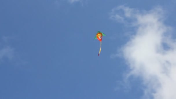 Cerf-volant volant sous le ciel bleu 