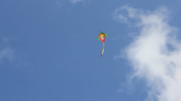 Drakflygning under blå himmel — Stockvideo