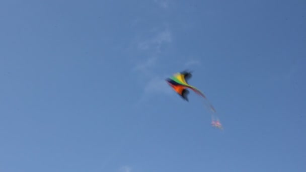 Кайт, летящий под голубым небом — стоковое видео